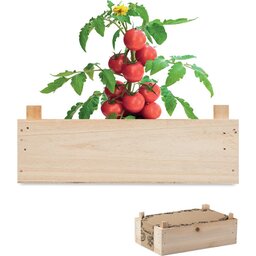 Tomaten kweekset met houten kratje