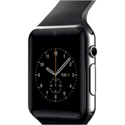 prixton watch