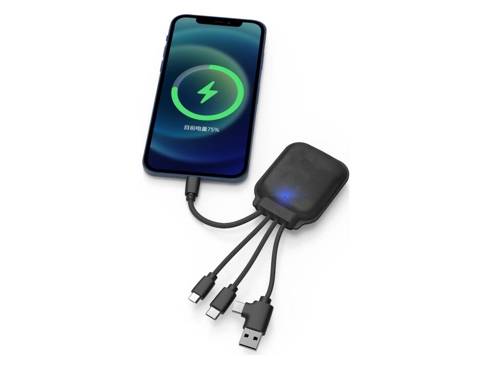 4001 | Xoopar Iné Gamma Charging cable with NFC and 3.000mAh Powerbank 3