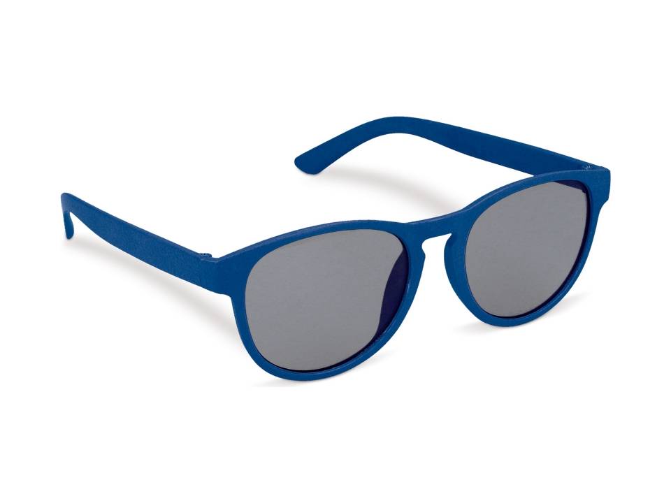 Lunettes de soleil Earth 2