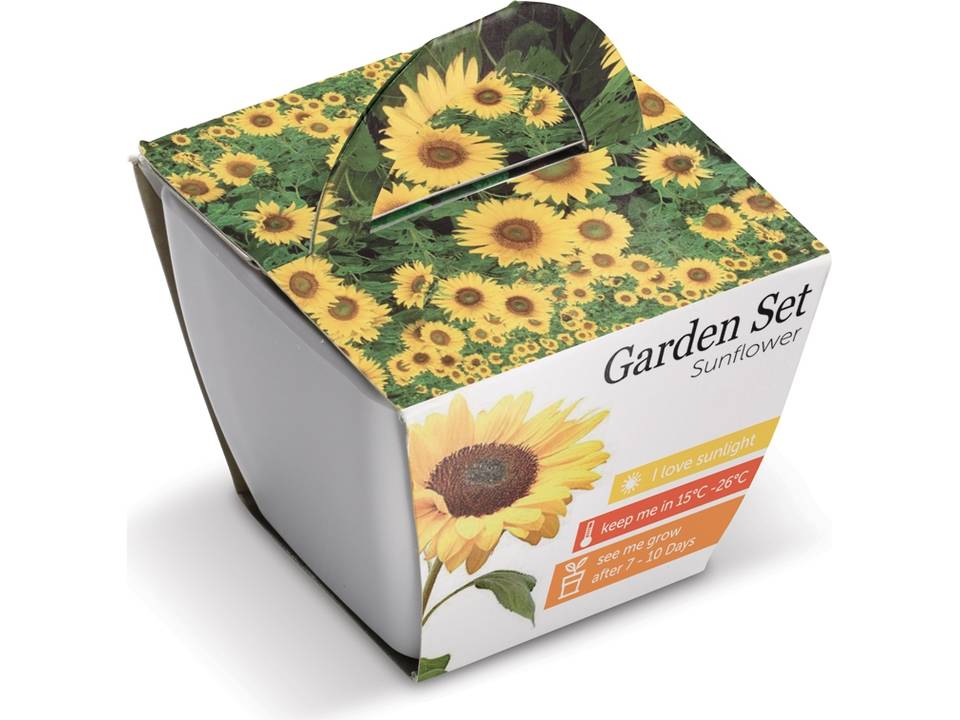 Jardin Tournesol 2