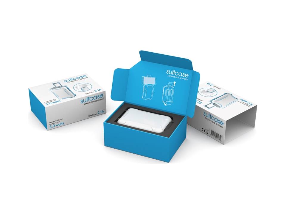 Powerbank enceinte Valise 5