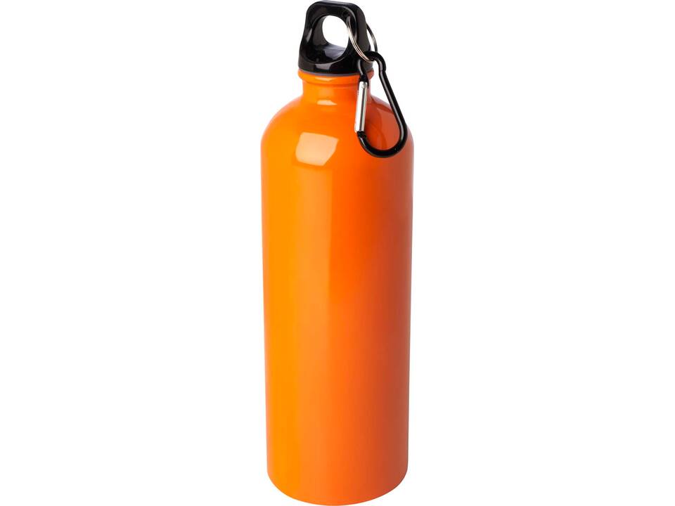 Bouteille d'eau Oregon de 750 ml simple paroi en acier recyclé certifié RCS avec mousqueton 13