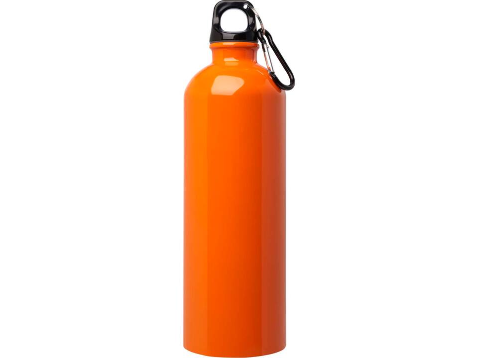 Bouteille d'eau Oregon de 750 ml simple paroi en acier recyclé certifié RCS avec mousqueton 15