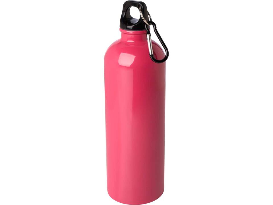 Bouteille d'eau Oregon de 750 ml simple paroi en acier recyclé certifié RCS avec mousqueton 21