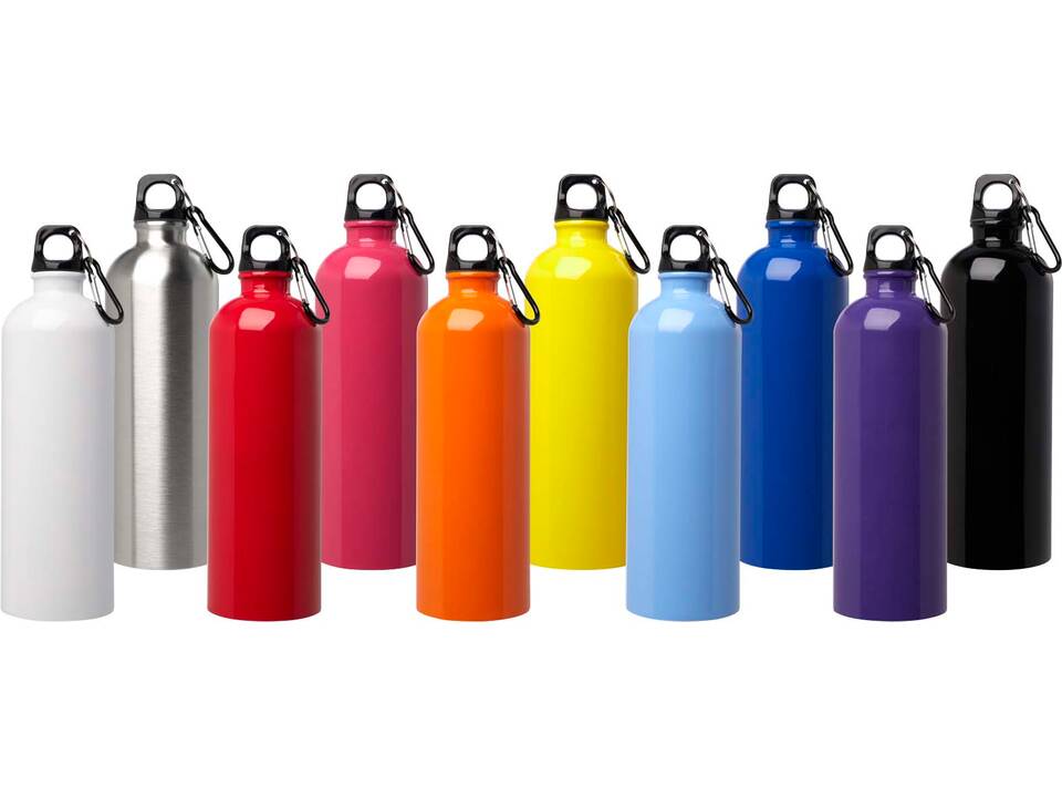 Bouteille d'eau Oregon de 750 ml simple paroi en acier recyclé certifié RCS avec mousqueton 25