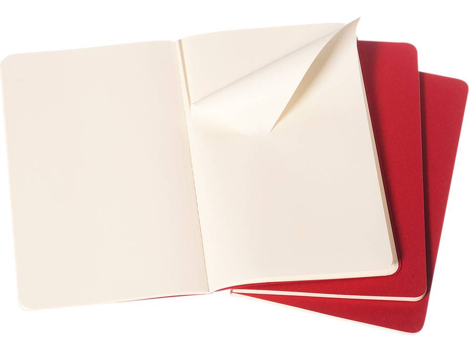 Journal Cahier de poche- ordinaire 12