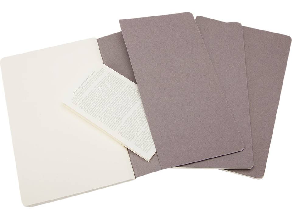 Journal Cahier de poche- ordinaire 14