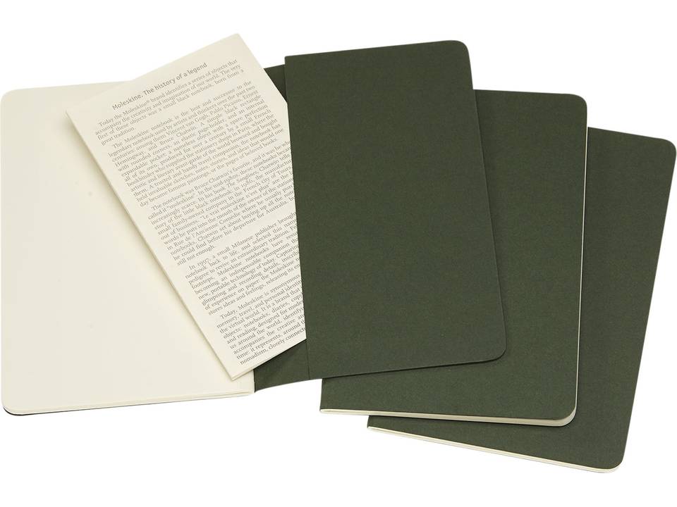 Journal Cahier de poche- ordinaire 17