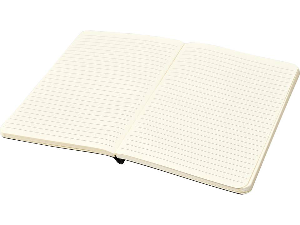 Cahier A5 Chameleon 4