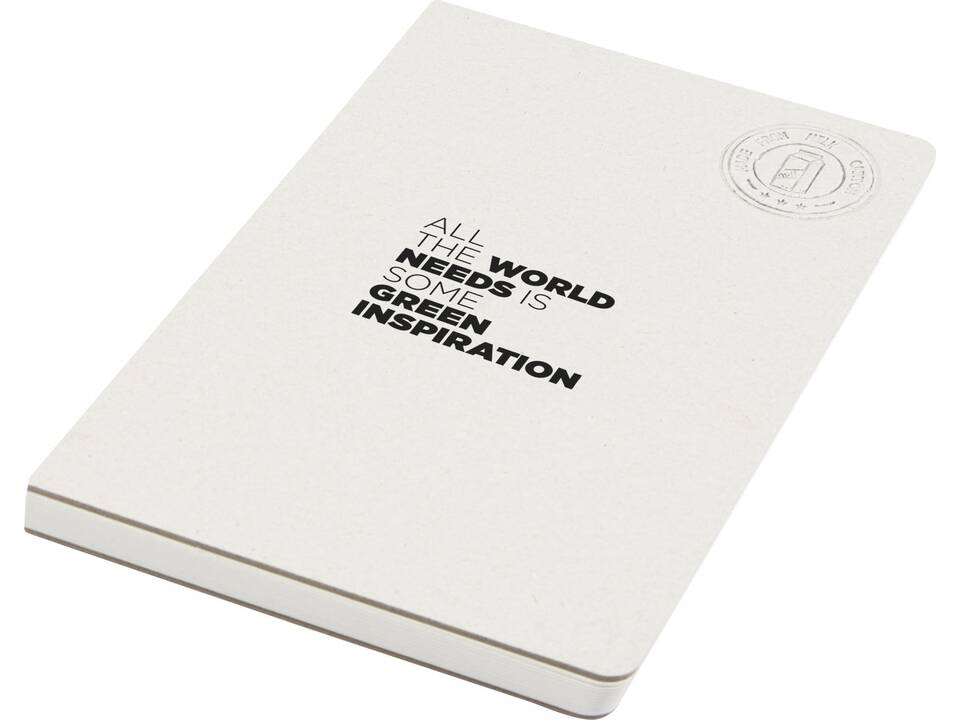 Carnet souple Dairy Dream format A5 1