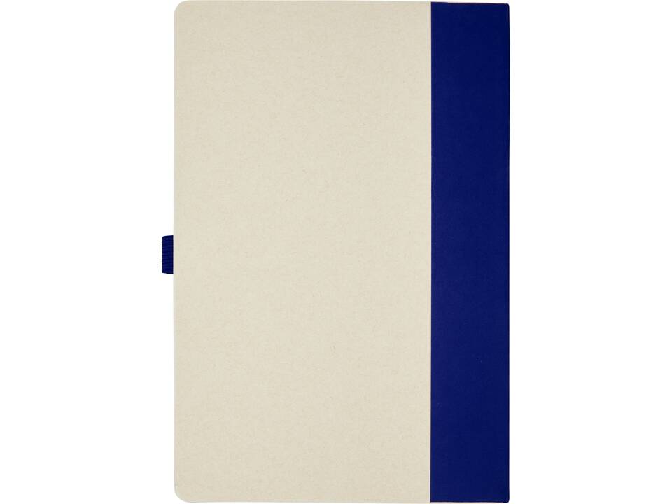 Ensemble carnet de notes format A5 et stylo bille Dairy Dream 15