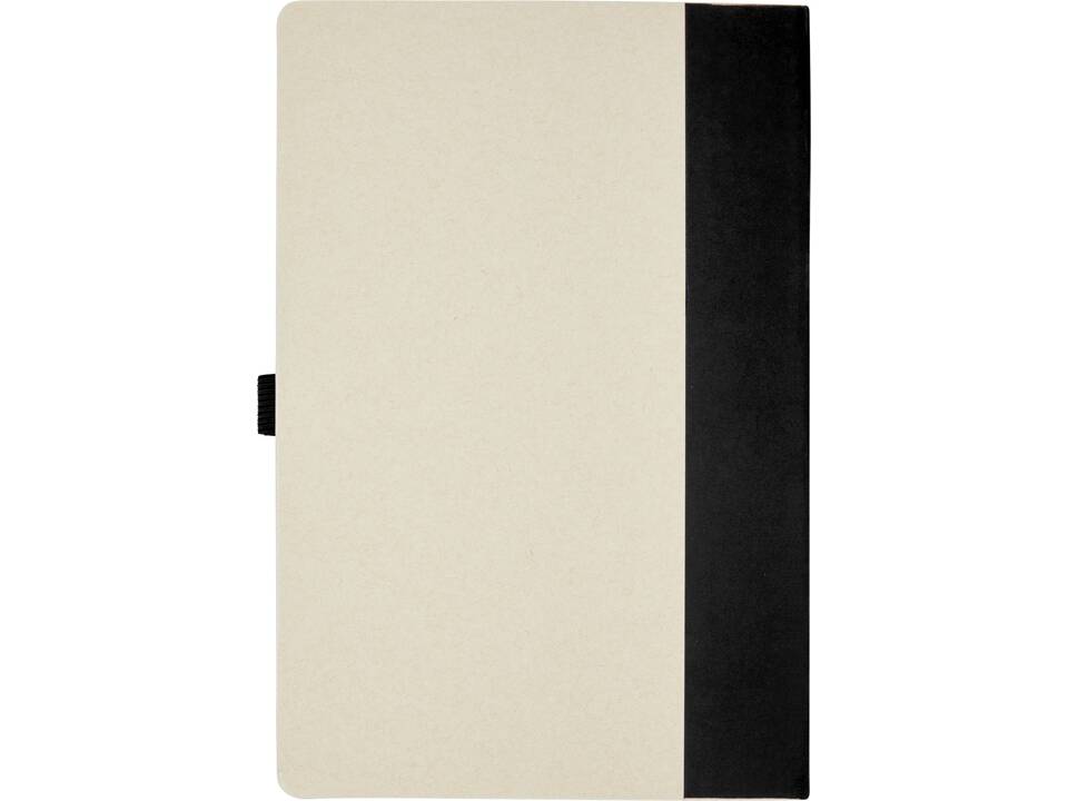 Ensemble carnet de notes format A5 et stylo bille Dairy Dream 20
