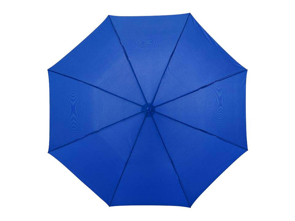 Parapluie Classique pliant 2 sections 15
