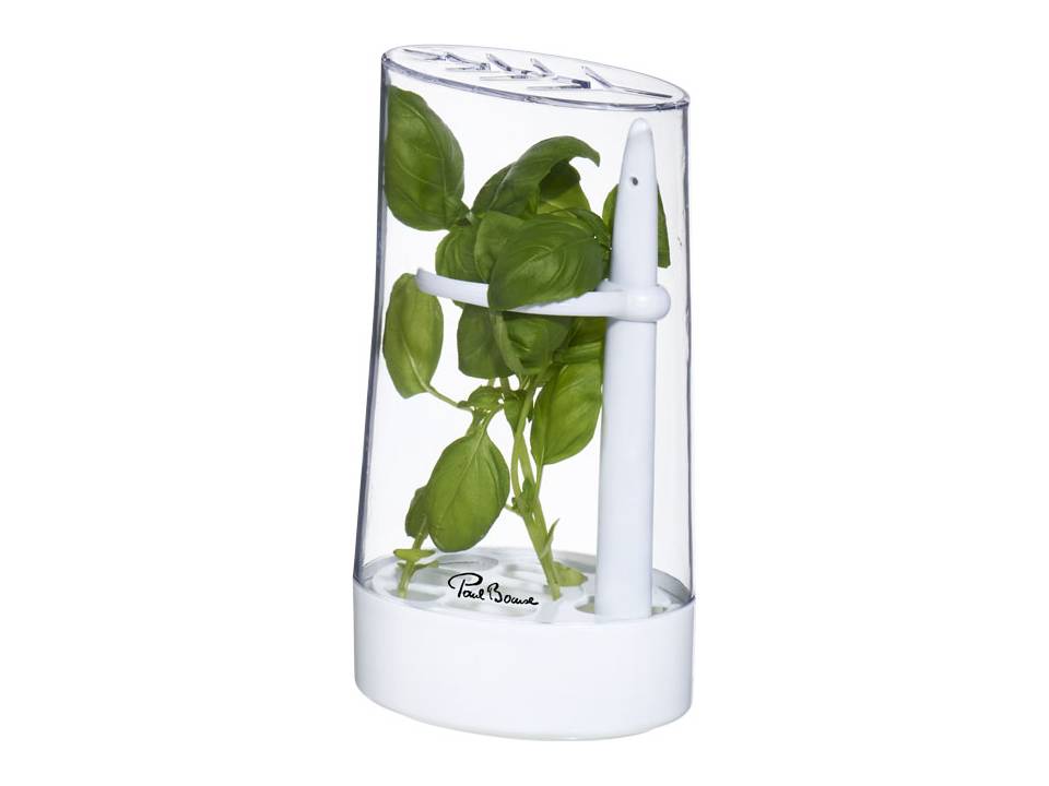 Conservateur d'herbes Versil 1