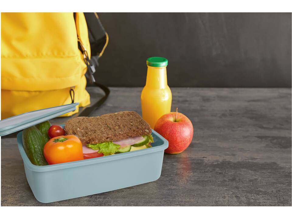 Boîte à lunch Dovi en plastique recyclé 10