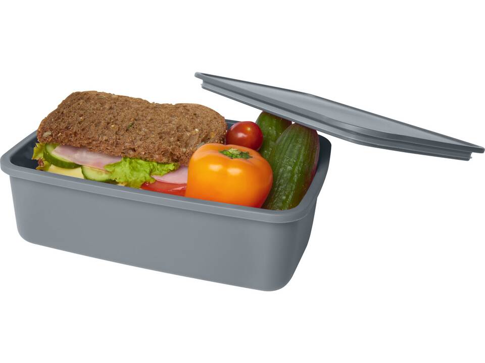 Boîte à lunch Dovi en plastique recyclé 19