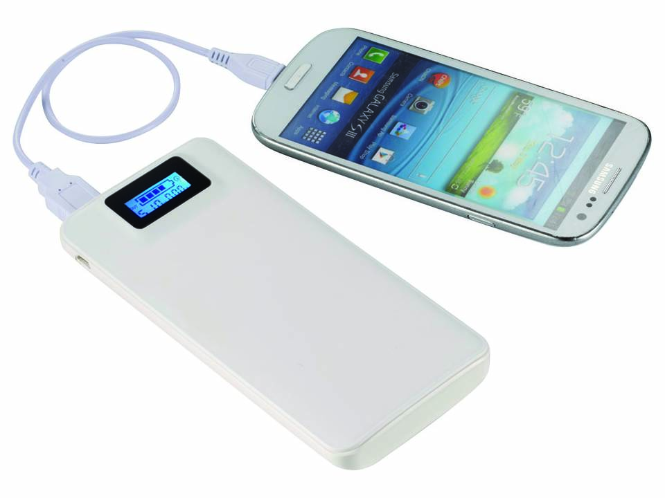 Powerbank Cheetah 1