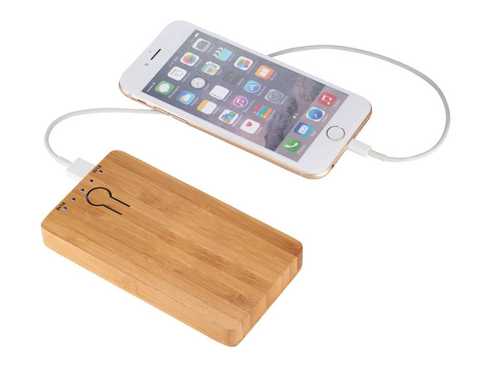 Bamboo powerbank 1