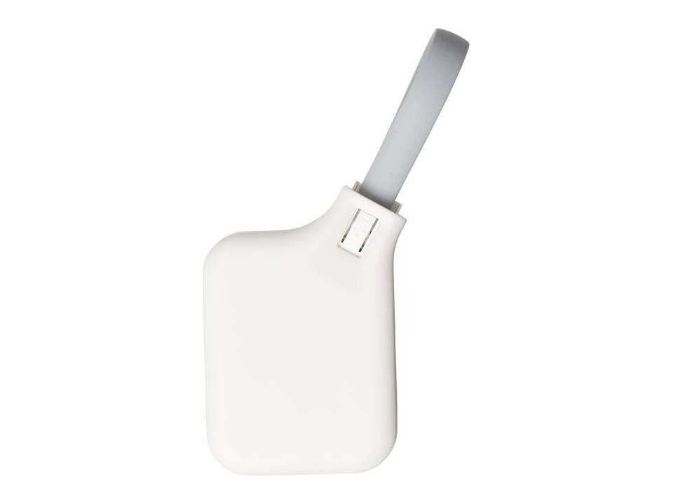 Set de chargement 500 mAh 10