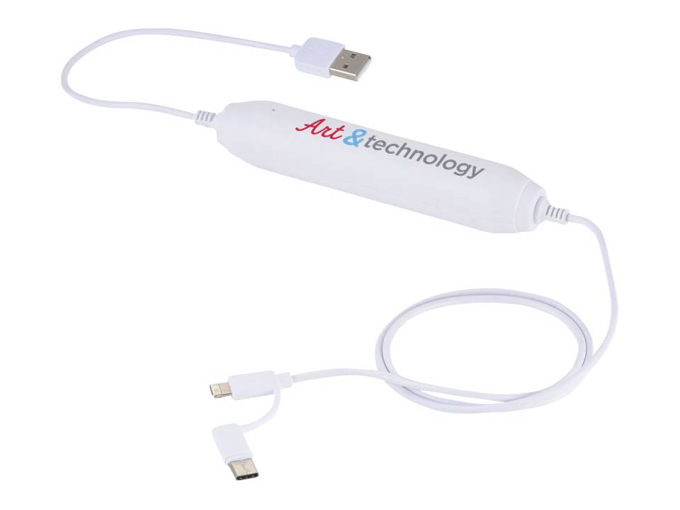 Batteries de secours - 2000 mAh 19