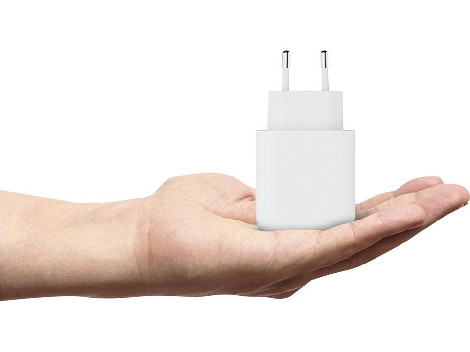 Chargeur mural 67 W Ultra Xtorm XEC067 GaN² 6