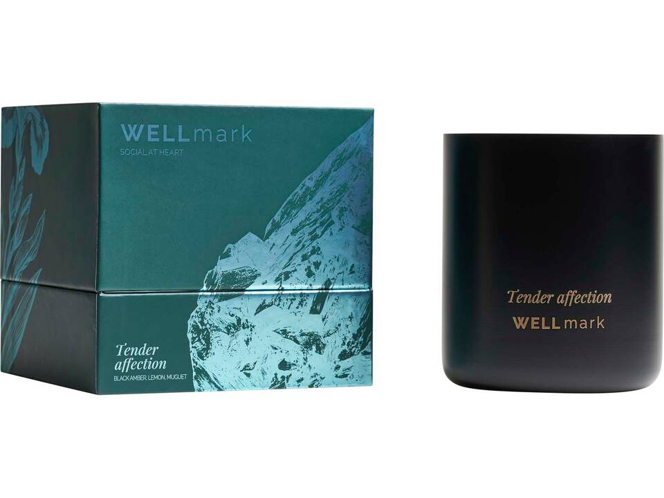 Bougie parfumée Wellmark 20