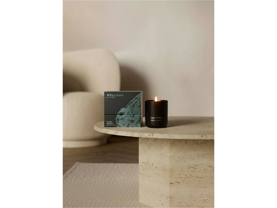 Bougie parfumée Wellmark 24
