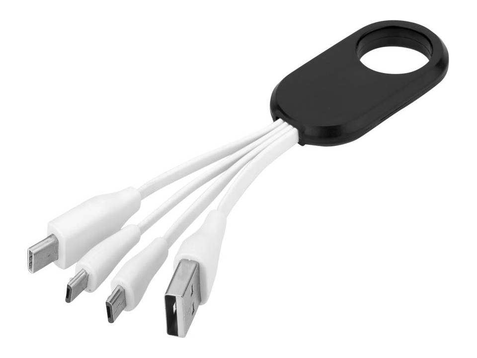 Câble USB multi ports type C 1