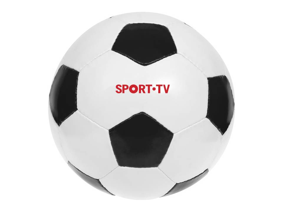 Ballon de football 13