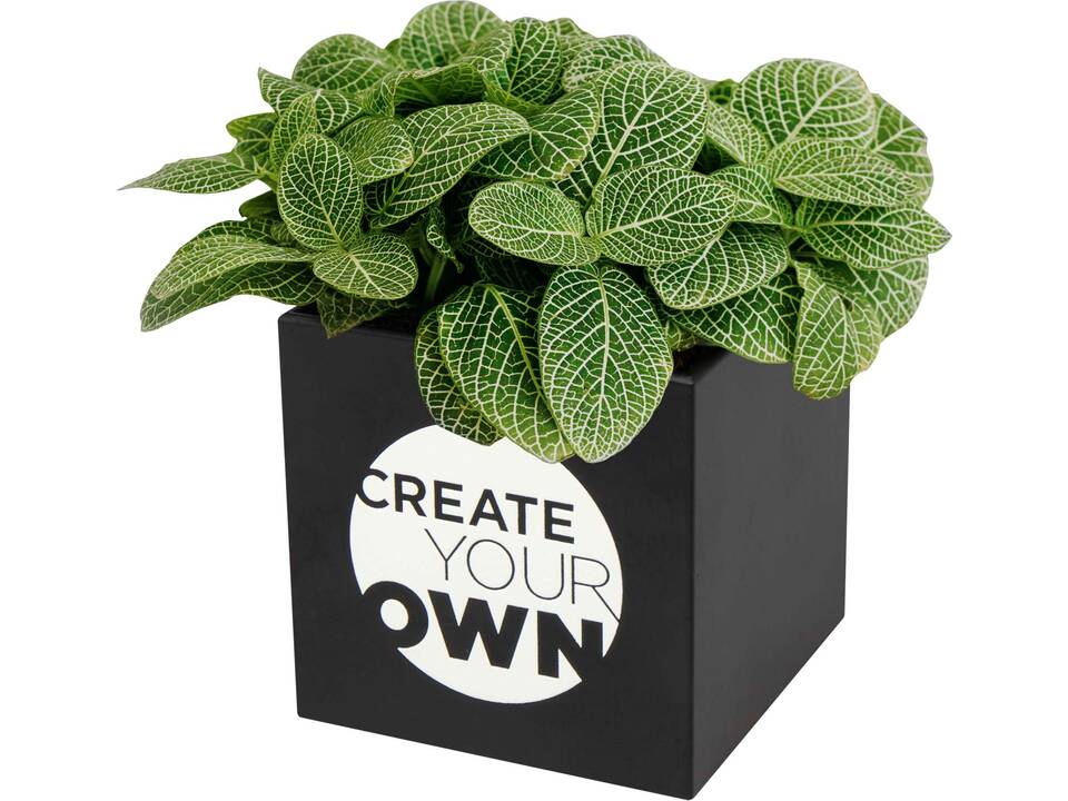 Pot en aluminium avec plante grasse Hey Pots 9