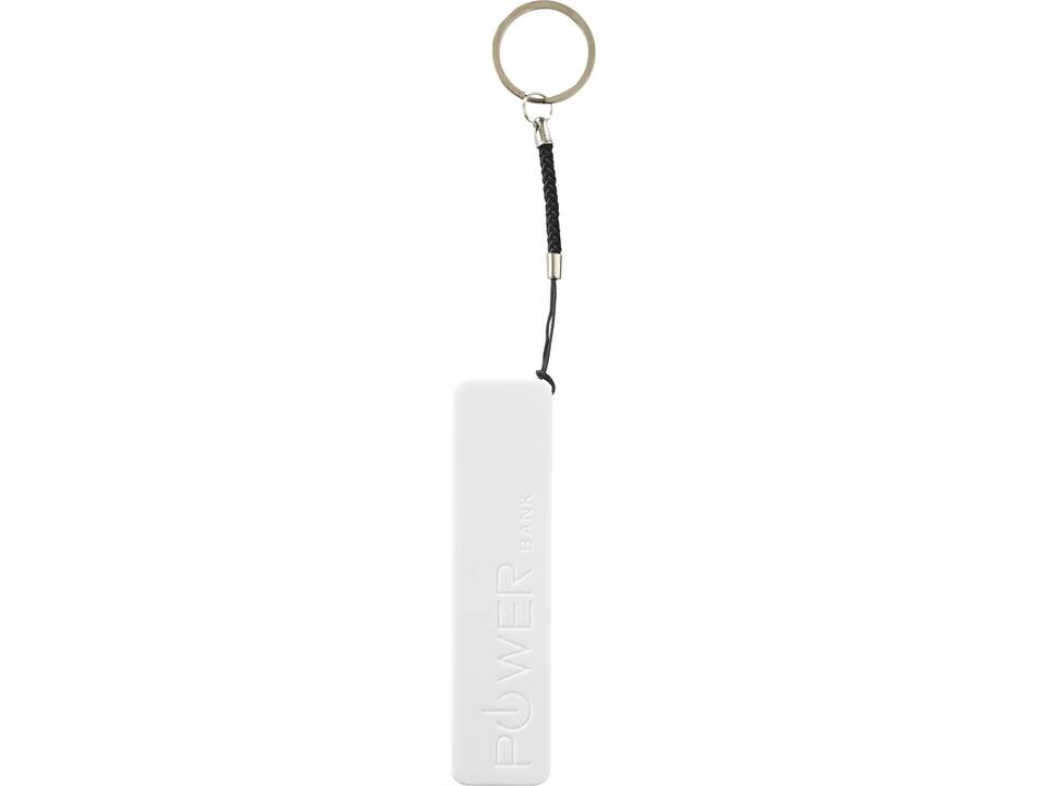 Batterie de secours WS 104  2000/2200/2600 mAh 4