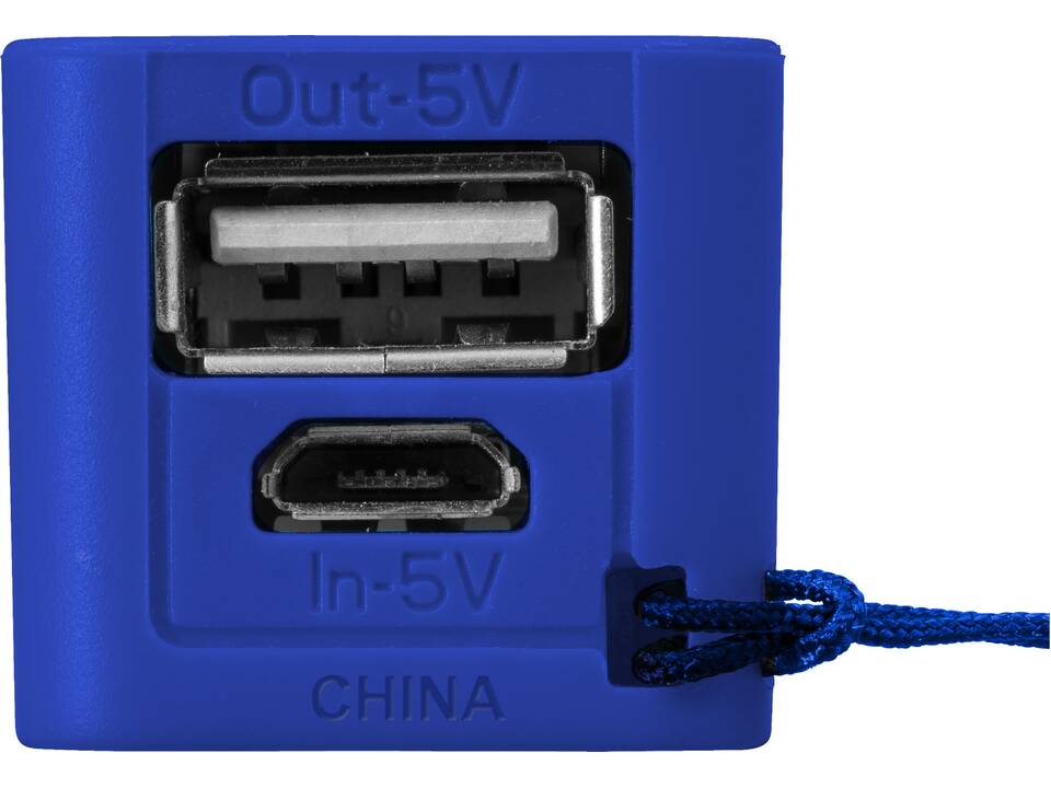 Batterie de secours WS 104  2000/2200/2600 mAh 14