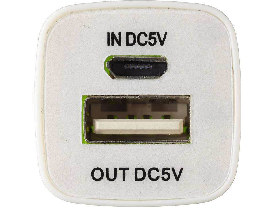 Batterie de secours WS102 2200/2600 mAh 16