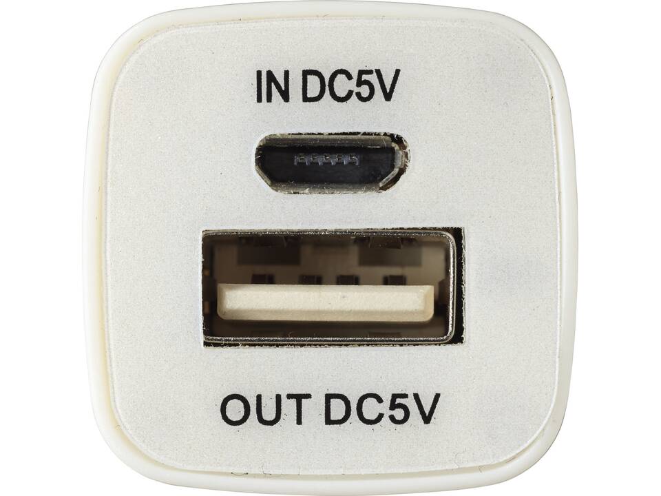 Batterie de secours WS102 2200/2600 mAh 21