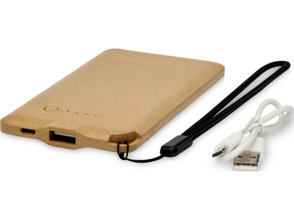 Batterie de secours Eco 4000 mAh 5