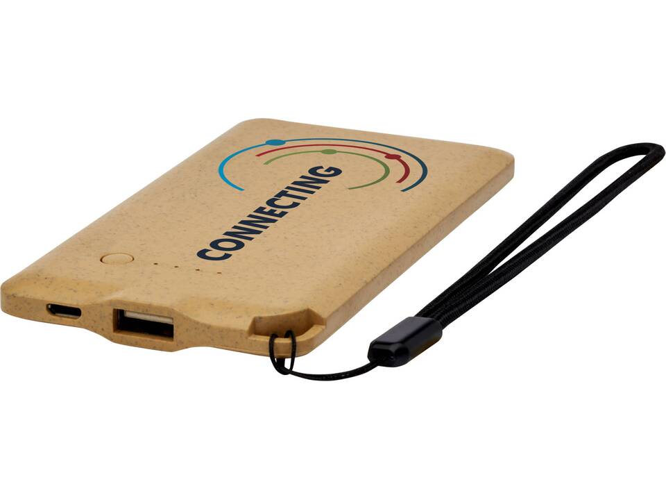 Batterie de secours Eco 4000 mAh 1