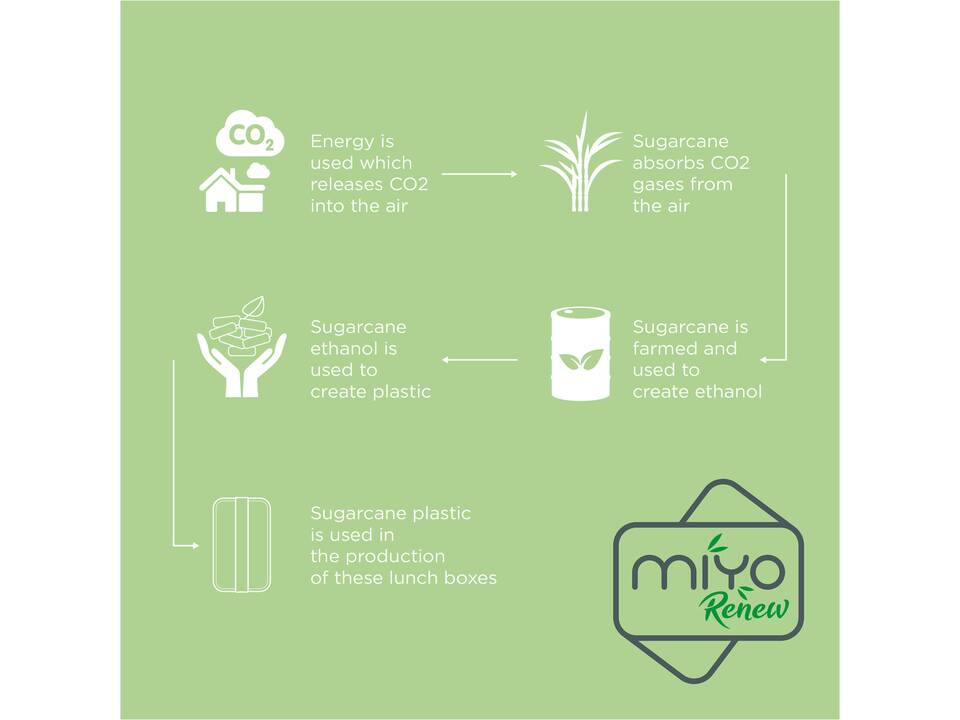 Boîte repas MIYO Renew à une couche 31