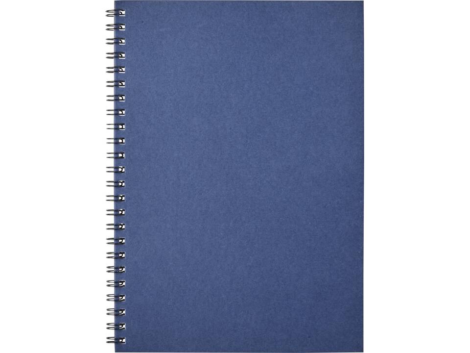 Carnet de notes à spirales Desk-Mate® A5 coloré 15