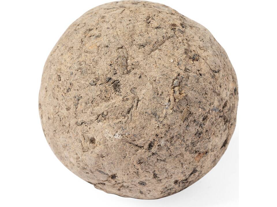 Bille de graines Fleurs Sauvages 1