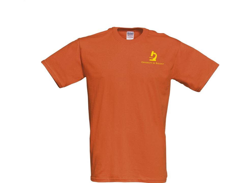 Gildan Heavyweight T-shirt 11