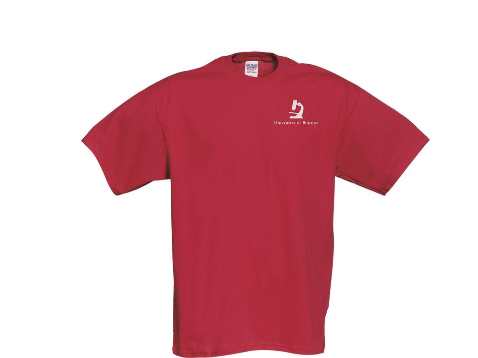 Gildan Heavyweight T-shirt 10