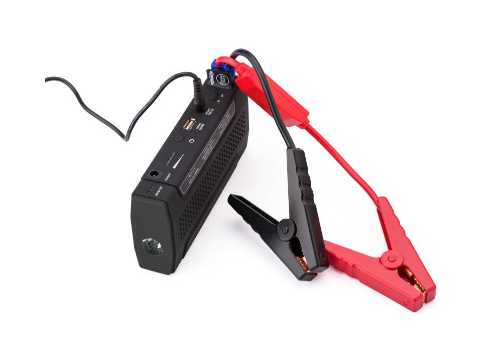 Chargeur de batterie 1