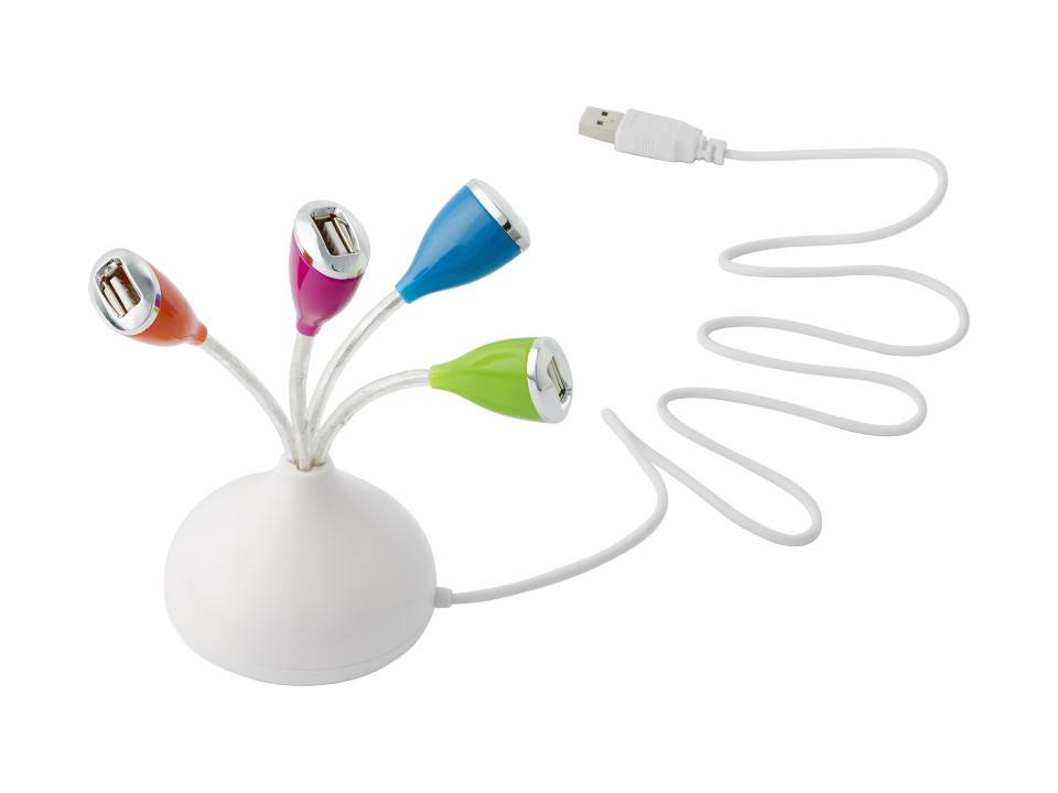 Hub équipé de 4 sorties USB 1
