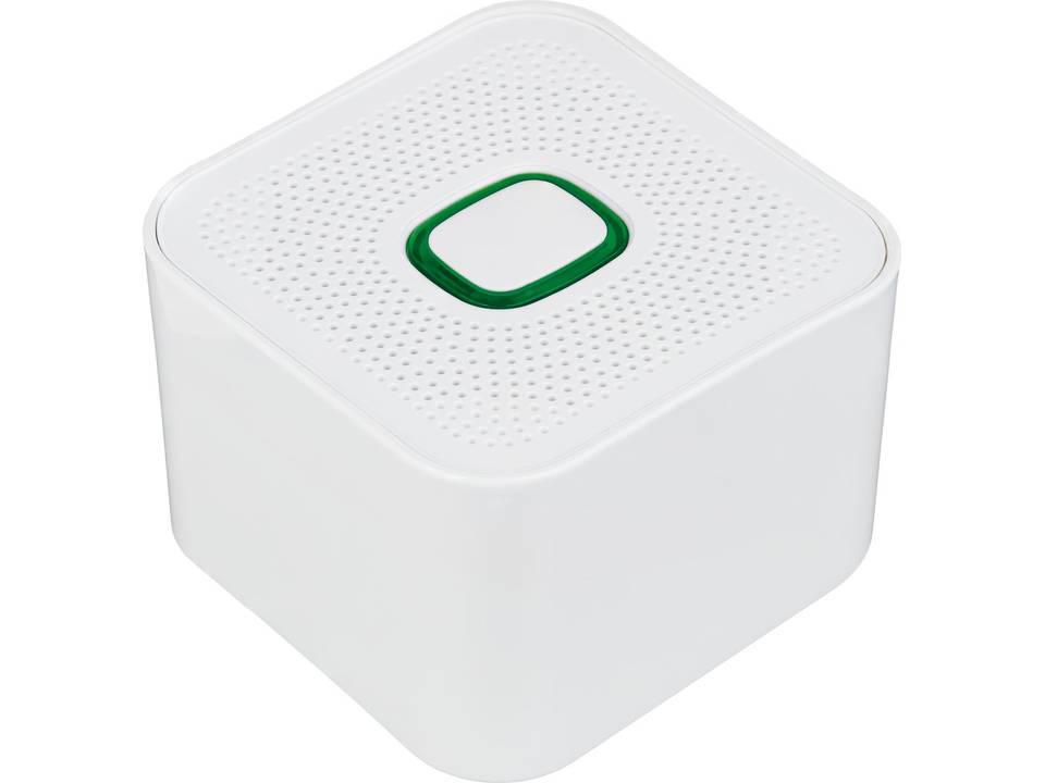 Haut-parleur Bluetooth® XL 13