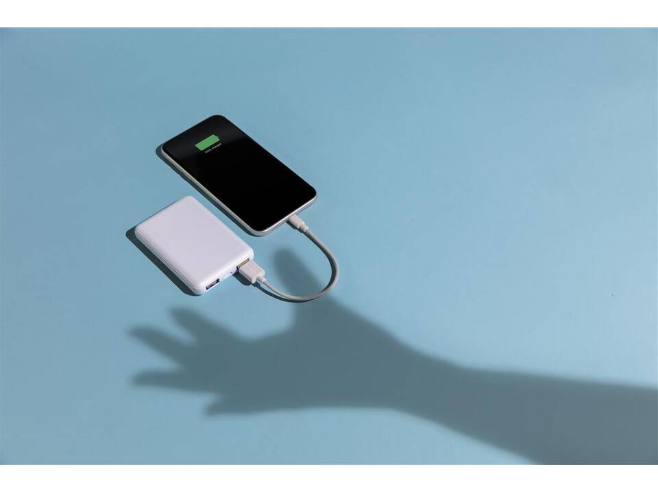 Batterie de secours 5000 mAh antimicrobienne 10