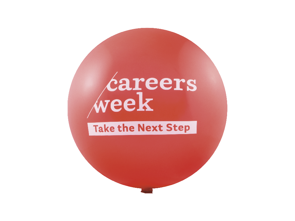 Ballons géants Ø115 cm 17