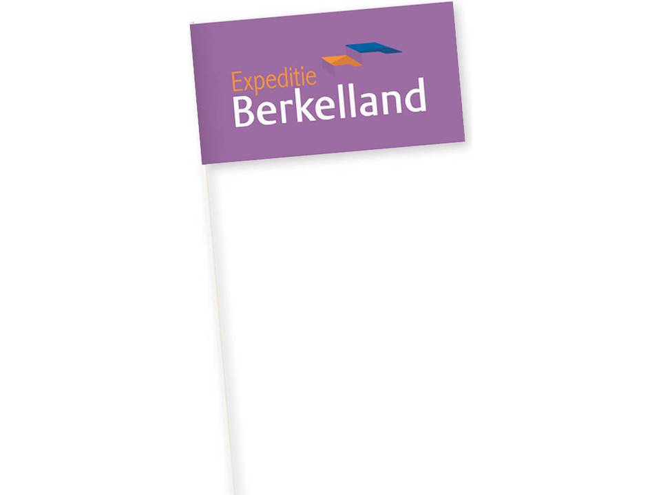 Drapeaux en papier Promo 16