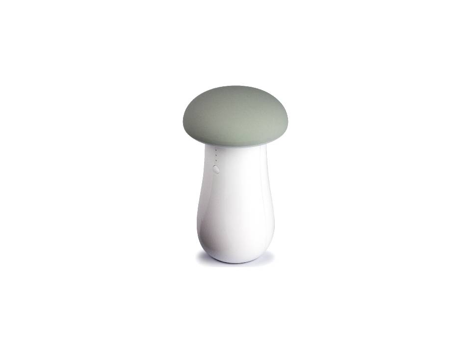 CM5212 mushroom 3