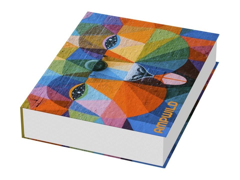 Ensemble d’onglets adhésifsCombi avec couverture rigide